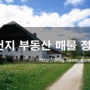 천지공인중개사사무소 이미지