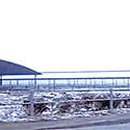 산동목장 축산신문