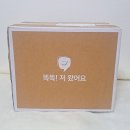 아침대용 쉐이크, 다이어트 단백질쉐이크 추천 식단