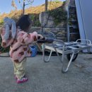 평촌목장 이미지