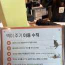 강아지탐험대동물미용업 | [내 돈 내산]_울산삼동의 작은 동물원 와우쥬 및 카페디오디(dod) 솔직후기