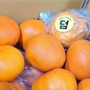 한진2농장 이미지