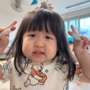 상망제3소교량 | 급//한//불//꺼드려요