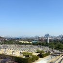 산넘어꽃향기 이미지