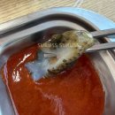 궁평항 입구 공중화장실 | 궁평항 새조개 2월중순 시세 갈매기호 후기