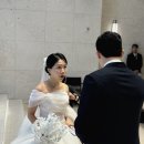 더베일리하우스 본식 후기