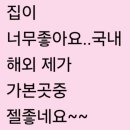 세화동백그늘 이미지
