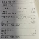 부평종합동물의료센터 | 부평특수동물진료 24시부평종합동물의료센터에서 육지거북이 폐렴 치료 후기