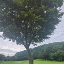 산내음 목장 이미지