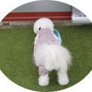 산과들카페 이미지