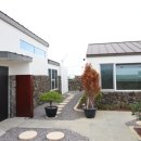 코지스테이 이미지