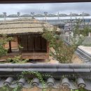 스테이 로운 이미지