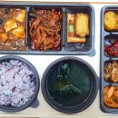 과천도시락여행_단체도시락추천_본도시락 내돈내산