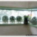 다운복지관 이미지