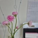 화봉시장 이미지