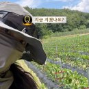건축사사무소지을 - 고양시 일산서구 송산로334번길 273 | 2026 하반기 청창농 대출 신청 - 실행 전·후 서류차이와 대출금 늘린 후기