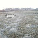 황해공인중개사사무소 이미지