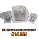 멈므 | 🐶 울산 멈므(MUMM) 강아지 케이크 레오 생일 케이크 구매 후기