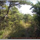 황룡목장 이미지