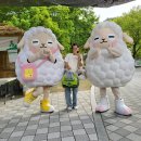 2024 양평 산나물축제 방문 후기! 각종 산나물 판매, 무료체험에 먹거리까지 완전 알찼음 :D