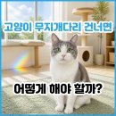무지개로 | 고양이 무지개다리 건넌 후, 반려묘 장례 절차, 비용, 후기 정리했어요.