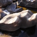 장군목 유원지 이미지