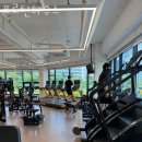 프로틴 하우스 이미지