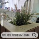 리젠왁싱앤드스킨케어 | 하단 왁싱 잘하는 곳 리젠왁싱&스킨케어 하단 브라질리언 왁싱 후기