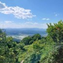 오동골1 이미지