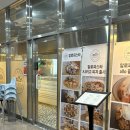진해냉천중학교 | 진해 자은동 파스타 맛집 알로파스타 / 통새우 로제 파스타 + 시카고 피자 후기