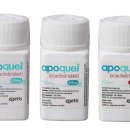 문타워약국 이미지