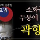 스트레스로인한 소화불량, 두통에 좋은 '곽향차' 조회수 4.5천회 4년 전 이미지