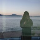 사촌마을해수욕장민박 | 남해여행 DAY3 (사촌해수욕장,남해카페샌드)