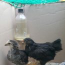 천성카센타 이미지