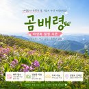 곰배령 | 곰배령 야생화 절정 시즌! 4월 26일 답사 후기｜예약방법·주차요금·가는길 총정리