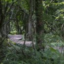 엠버호텔 이미지