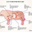 칠성양곱창 이미지