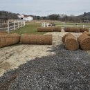 유실목장 이미지