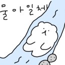 부어치킨 연제구청점 이미지