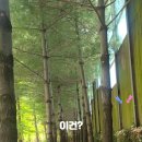 신대생태회랑 이미지