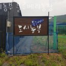 시흥시과림보건진료소 | 블루베리농장 도시농부 블루베리농장 당일치기 블루베리체험 예약 후기