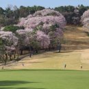 뉴코리아호텔 이미지