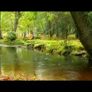 Yiruma - River Flows In You 이미지