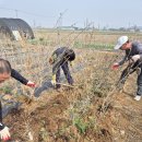 연강농장 이미지