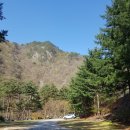 프로스펙스영월점 | 영월 리버힐즈 캠핑장_200430