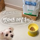 웰빙라이프 - 북구 복현로 90 | 강아지 신부전 벳라이프 레날 건사료 후기 기호성 테스트와 영양성분 분석