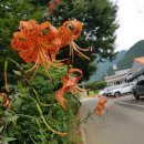 주남펜션민박 이미지