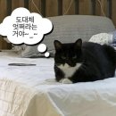 랑만 이미지
