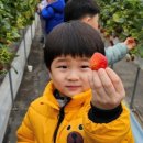 동명초교(병설) 이미지