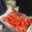 성희농장 이미지